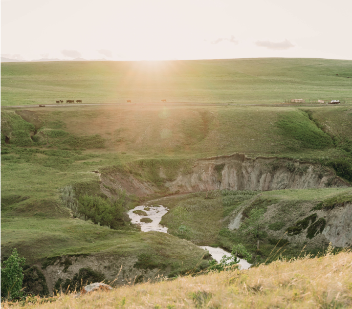 Contact Us – One Mile Ranch